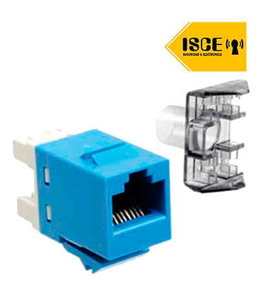 AMP/COMMSCOPE JACK CAT 6 AZUL